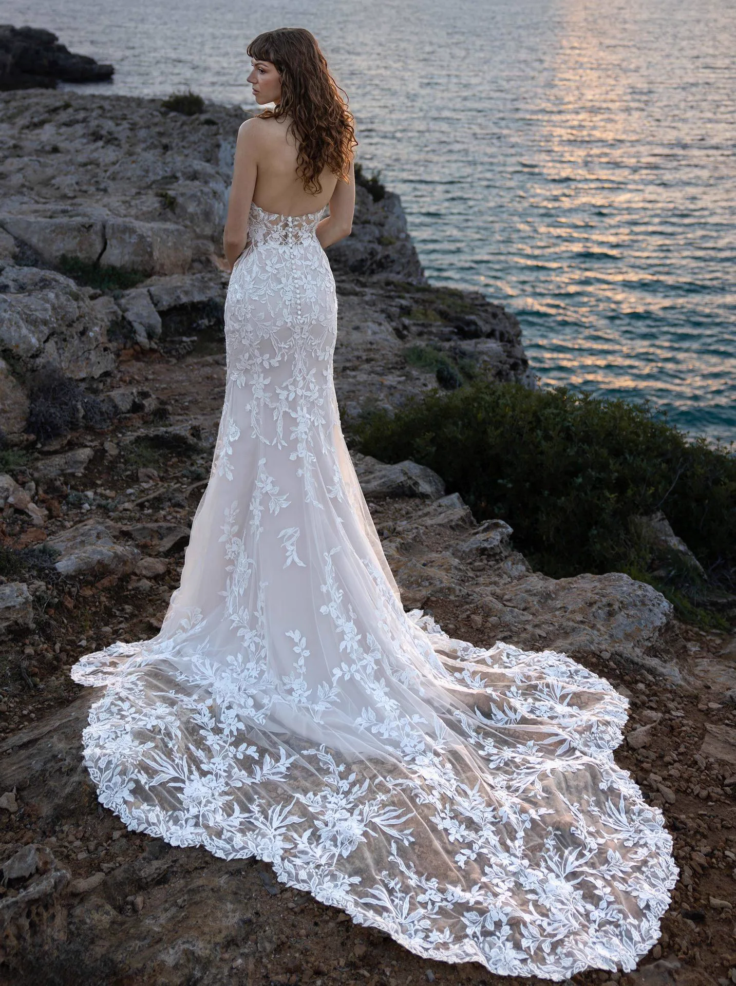 Diane Legrand Lisa Donetti 3015 wedding dress — back view